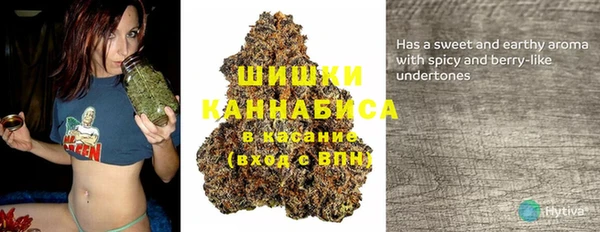 ГАЛЛЮЦИНОГЕННЫЕ ГРИБЫ Алексеевка