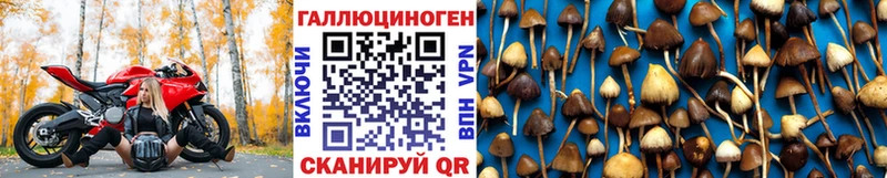 Галлюциногенные грибы мицелий  где купить наркоту  Солнечногорск 